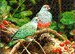 رابطه عالی